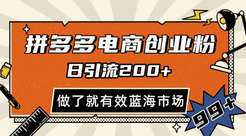 拼多多引流电商创业粉，日引200+，可矩阵放大，做了就有效【揭秘】-小艾网创
