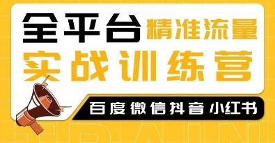 全平台精准流量实战训练营，百度微信抖音小红书SEO引流教程-小艾网创