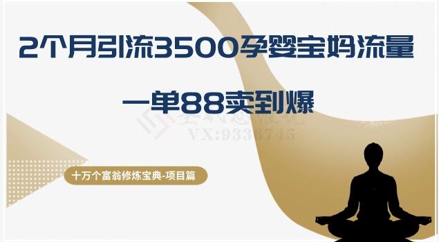 十万个富翁修炼宝典之13.2个月引流3500孕婴宝妈流量，一单88卖到爆-小艾网创