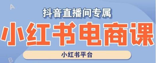 小红书电商高级运营课程，实操教学+案例分析-小艾网创