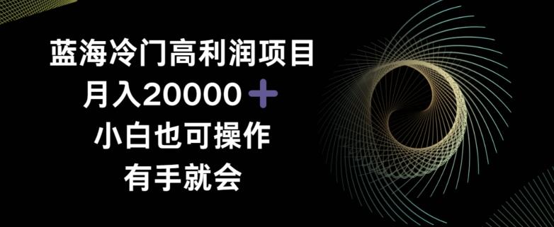 蓝海冷门高利润项目月入2000，小白也可操作有手就会-小艾网创