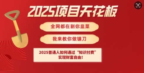 2025项目天花板普通人如何通过知识付费，实现财F自由【揭秘】-小艾网创