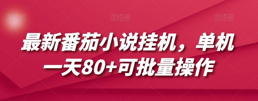 最新番茄小说挂机，单机一天80+可批量操作【揭秘】-小艾网创